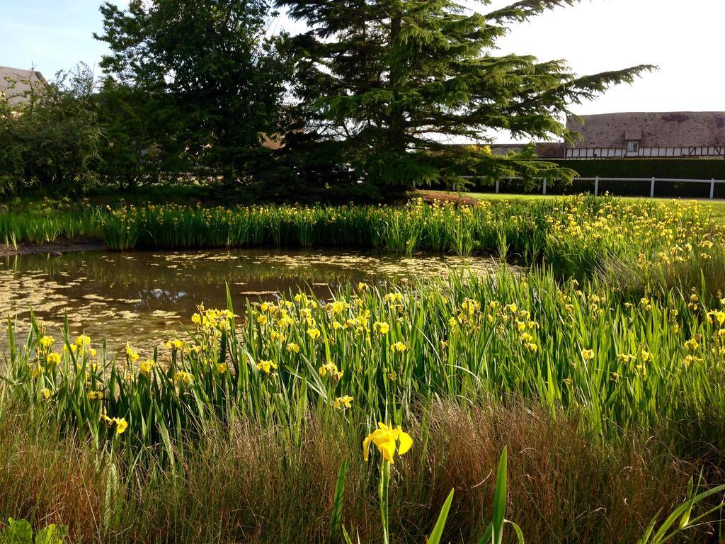 Residences Le Clos Du Manoir - Self Cooking Gauciel Exterior photo
